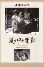 Locandina di Una gallina nel vento