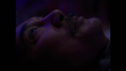 Perfect Days - Trailer Italiano