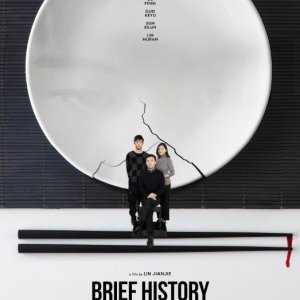 Locandina di Brief History of a Family
