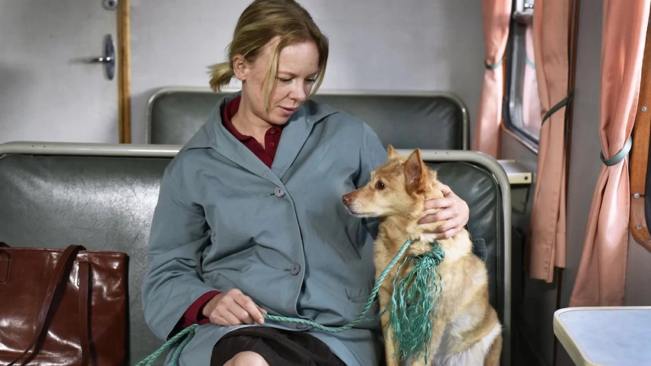 Foglie al vento e il cinema della speranza di Kaurismäki