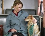 Foglie al vento e il cinema della speranza di Kaurismäki