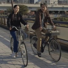 Perfect Days: una sequenza