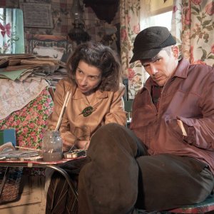 Maudie: Sally Hawkins ed Ethan Hawke in una scena del film