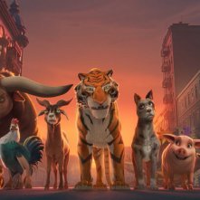 L'apprendista della Tigre: un'immagine