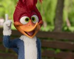 Woody Woodpecker Goes To Camp: Netflix svela la data di uscita del film su Picchiarello