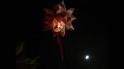 Totem - Il Mio Sole - Trailer Italiano