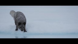 Kina e Yuk alla scoperta del mondo - Trailer Italiano