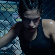 The Cage – Nella Gabbia: una sequenza del film