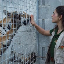 The Cage – Nella Gabbia: Aurora Giovinazzo in una scena del film