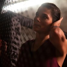 The Cage – Nella Gabbia: un'immagine del film