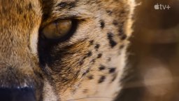 Earthsounds - Trailer