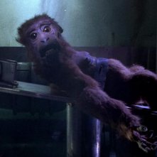 Mad God: una scena del film