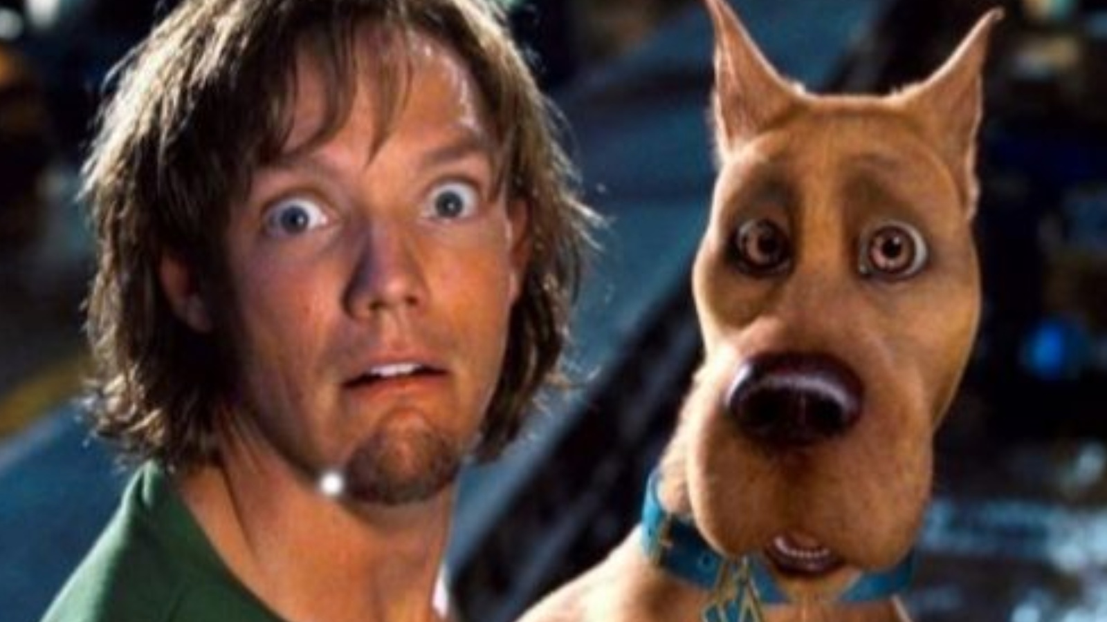 Scooby-Doo, Matthew Lillard è coinvolto in un nuovo progetto del franchise: 'Interpreterò Shaggy finché potrò'