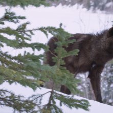 Kina e Yuk alla scoperta del mondo: una scena del film
