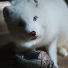 Kina e Yuk alla scoperta del mondo: una scena del film