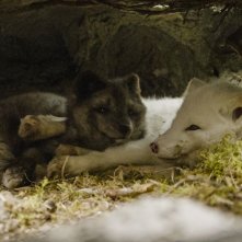 Kina e Yuk alla scoperta del mondo: una scena del film