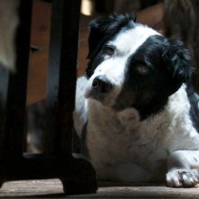 Kina e Yuk alla scoperta del mondo: una scena del film