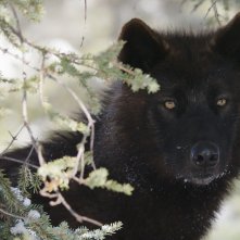 Kina e Yuk alla scoperta del mondo: una scena del film