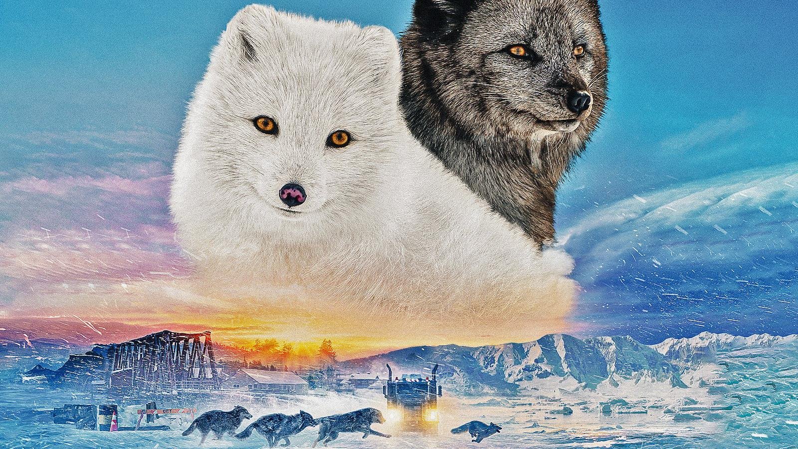 Kina e Yuk alla scoperta del mondo, la recensione: il viaggio nella natura di due volpi artiche