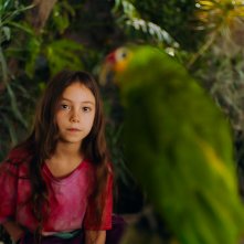 Totem - Il mio Sole: un'inquadratura del film