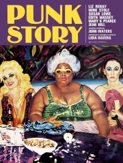 Locandina di Punk Story