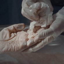 Sconosciuti puri: unimmagine del film