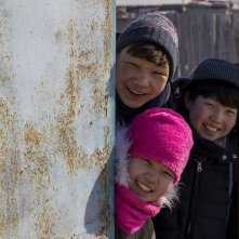 Se solo fossi un orso: una scena tratta dal film