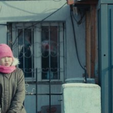 Se solo fossi un orso: una foto del film