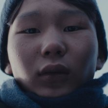 Se solo fossi un orso: una scena del film