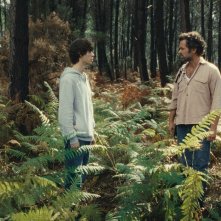 The Animal Kingdom: un'immagine