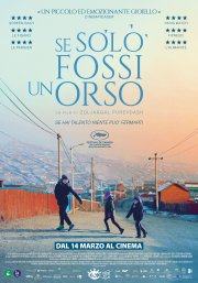 Locandina di Se solo fossi un orso