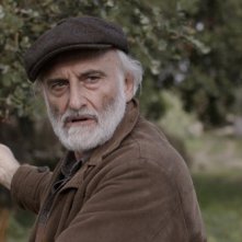 Gli agnelli possono pascolare in pace: un'immagine del film