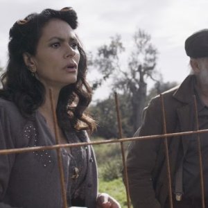 Gli agnelli possono pascolare in pace: una foto del film