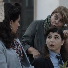 Gli agnelli possono pascolare in pace: una scena