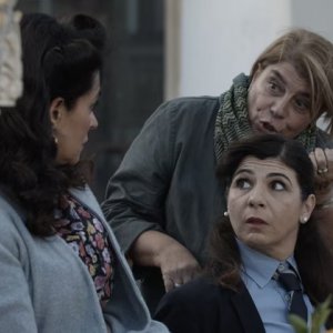 Gli agnelli possono pascolare in pace: una scena