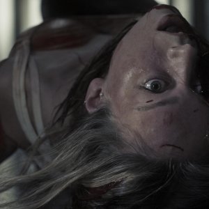 Venus: una scena del film