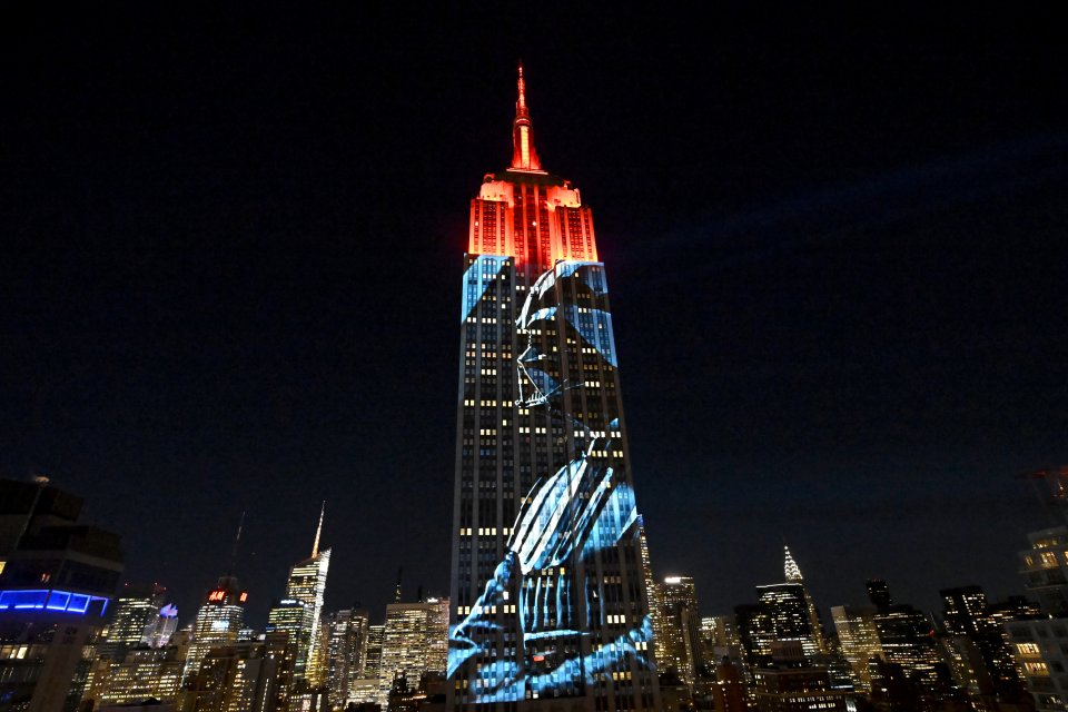 Show de Luzes do Empire State Building 2