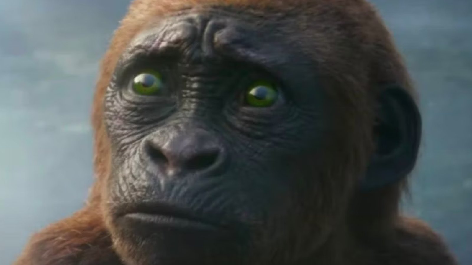 Godzilla e Kong, o diretor revela as diferenças entre Baby Kong e Baby Yoda: ‘Fofo, mas cuidado...’