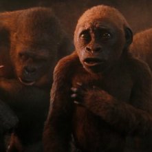 Godzilla e Kong: Il Nuovo Impero - Suko, il 'mini Kong' in un'immagine