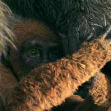 Godzilla e Kong: Il Nuovo Impero - il piccolo Suko si nasconde tra le braccia di Kong