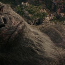 Godzilla e Kong: Il Nuovo Impero - Kong in una foto