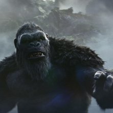 Godzilla e Kong - Il Nuovo Impero: una foto