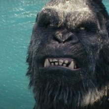 Godzilla e Kong: Il Nuovo Impero - Kong in un primo piano