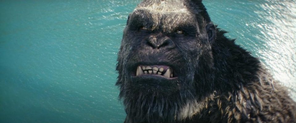 Godzilla E Kong Il Nuovo Impero 9