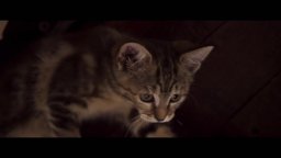 Vita da gatto - Trailer Italiano