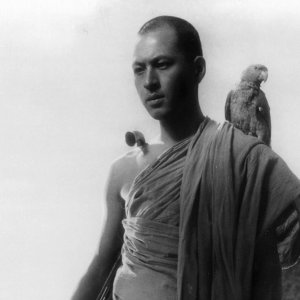 L'arpa birmana: un'immagine