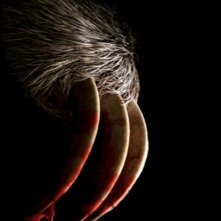 Slotherhouse: una scena del film