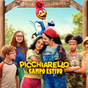 Locandina di Picchiarello al campo estivo