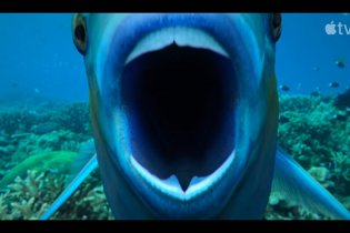 Jane - Trailer Italiano Stagione 2