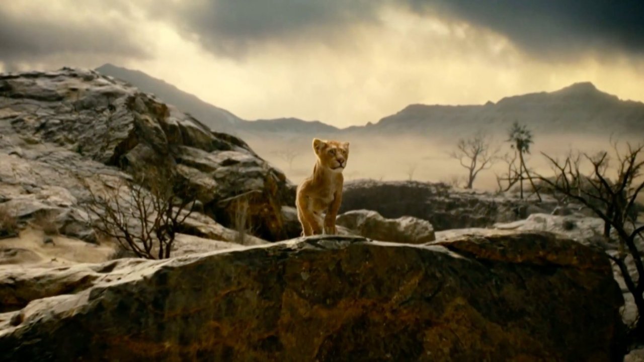 Mufasa, Barry Jenkins: 'Una delle decisioni migliori della mia vita'